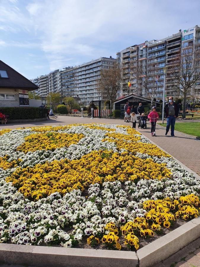 Sweet Home Blankenberge Exteriér fotografie